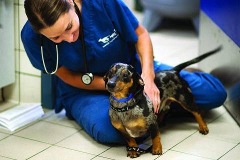 AHS Veterinary Center